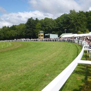 Panneaux de clôture <span class=keywords><strong>pour</strong></span> <span class=keywords><strong>chevaux</strong></span> en PVC bon marché, palissade en plastique blanc, 4x8, poteaux en vinyle <span class=keywords><strong>pour</strong></span> ranch, ferme et jardin - Product Image 2