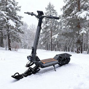 Scooter à neige 3 en 1 pour adultes, haute qualité, 800 W, roues de 11 pouces, type électronique intelligent, snowboard OT1, scooter à neige Tria - Product Image 1