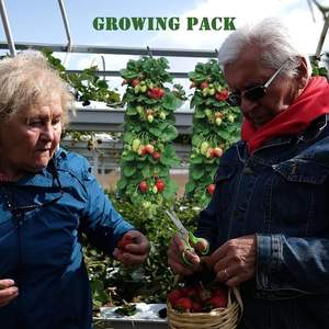 Sacs de culture suspendus pour plantes à 8 trous, sacs de culture suspendus, sacs de plantation de fleurs, poignée, <span class=keywords><strong>sac</strong></span> de culture, jardinière pour l'extérieur - Product Image 6