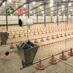 Automatic Poultry <strong>Feeder</strong> for Chicken <strong>Duck</strong> Quail PP Material/Stainless Steel Chicken <strong>Feeders</strong> Animal <strong>Feeders</strong> - Product Image 6