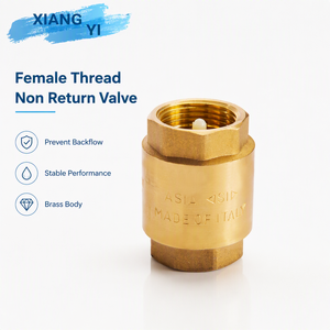 Clapet anti-retour vertical en laiton à ressort, filetage femelle BSP, pour système de conduite d'eau de yacht marin - Product Image 6