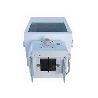 Petit Animal Vétérinaire X-Ray Fluoroscopie Chien Fixe DR X Ray Machine numérique avec des prix bon marché