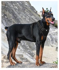 New Design Pet Vest Harness Reflective <strong>Dog</strong> <strong>Leash</strong> Hands-Free <strong>Dog</strong> Clothing Explosion-Proof Adjustable Tactical <strong>Dog</strong> Vest Wholesale - Product Image 6