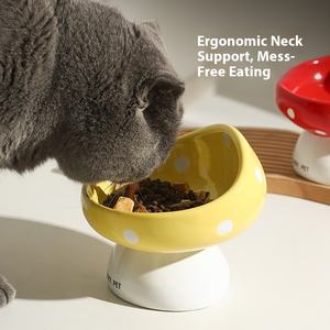 Hund Keramik Slant Mund Halswirbel säule Schutz Trink futter Becken Reiss chale Fest Wasserdicht IPX5 Haustier bedarf Großhandel - Product Image 2