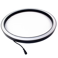 Lumières de scène Led Flexible Ring Lights Flex Neon Tube Strip Light DMX Control DMX512 Circular Ring