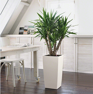 Maceta rectangular <span class=keywords><strong>de</strong></span> riego automático para balcón, maceta <span class=keywords><strong>de</strong></span> fresa, alféizar <span class=keywords><strong>de</strong></span> ventana, tira larga, maceta, caja <span class=keywords><strong>de</strong></span> plantación <span class=keywords><strong>de</strong></span> verduras - Product Image 3