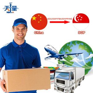 Envío Exprés Tianliang, Transporte Aéreo + Terrestre para Mercancías <span class=keywords><strong>Generales</strong></span>, Aeropuerto de Guangzhou Baiyun (CAN), Seguro de Singapur 24/7 - Product Image 1