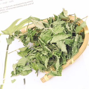 Premium Nouvelle récolte Feuilles de baume au citron <span class=keywords><strong>bio</strong></span> pour le thé, la relaxation et les remèdes naturels | Fournisseur <span class=keywords><strong>en</strong></span> <span class=keywords><strong>vrac</strong></span> - Product Image 6