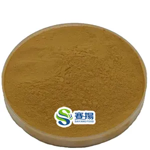 Food Supplement Best Price Olive Leaf Extract 5%-80% Hydroxytyrosol Olive Leaf Extract Powder