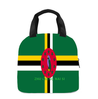 Sac à lunch isotherme avec drapeau de la Dominique, parfait pour les enfants, la maternelle, l'école, le travail, les voyages, les pique-niques, facile à transporter, unisexe