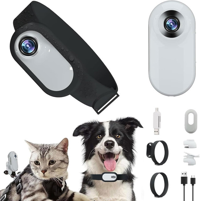 New Arrivals Cat Camera Collar Adjustable Silicone Bracelet Dog Collar Camera Dogs Cat Indoor/Outdoor Gift for Insta360 GO3