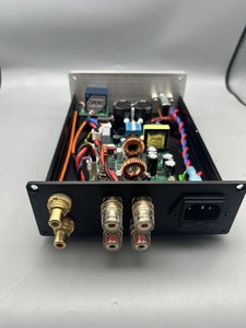 Módulo amplificador de alta fidelidad plateado con/sin control de volumen Icepower 50ASX2 Amplificador clase D W406 - Product Image 4