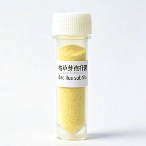 Bacillus Subtilis 100 Mil Millones <span class=keywords><strong>de</strong></span> UFC/g, Aditivo Probiótico Optimizado para la Calidad del <span class=keywords><strong>Estiércol</strong></span>, Materia Prima para Fertilizantes Orgánicos, Ganadería - Product Image 5