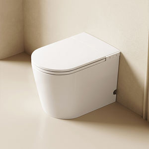 S013 Siège de toilettes intelligent <span class=keywords><strong>japonais</strong></span> haut de gamme, de luxe, avec bidet automatique, chauffage instantané et nettoyage automatique - Product Image 5