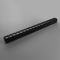 Rail mince ultra mince aimant intelligent piste linéaire Spot Light Dimmable 48v plafond monté en surface LED système magnétique feux de piste