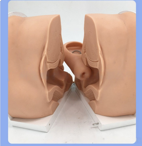 PVC kontrasepsiyon rehberlik modeli kadın üreme anatomisi jinekolojik muayene eğitim modeli doğum sonrası kurtarma - Product Image 2