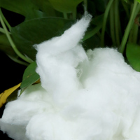 Ceramic Fiber Wool Bulk Supplier