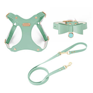 Set tali kerah <span class=keywords><strong>Harness</strong></span> kulit mewah stok dapat diatur produsen luar ruangan kecil aksesori Jalan anjing peliharaan grosir - Product Image 5