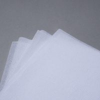Chiffonnette adhésive anti-poussière WIPESTAR pour l'automobile, chiffons de nettoyage très collants, lingettes adhésives en maille industrielle pour la peinture de surface