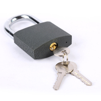 Serrures de porte à cadenas en acier de Type classique de haute qualité Serrures en fer de fabricant chinois étanches populaires et abordables