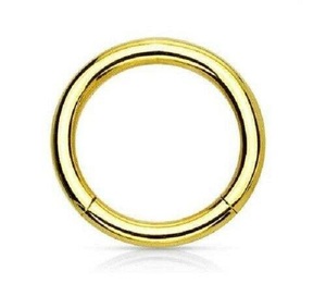 Anillo <span class=keywords><strong>de</strong></span> <span class=keywords><strong>titanio</strong></span> con segmento <span class=keywords><strong>de</strong></span> bisagras para <span class=keywords><strong>nariz</strong></span>, diseño <span class=keywords><strong>de</strong></span> aro dorado para <span class=keywords><strong>nariz</strong></span>, <span class=keywords><strong>Piercing</strong></span> corporal a granel - Product Image 2