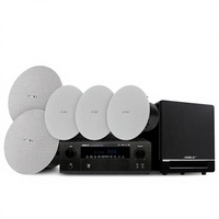 SHILE AV-30 BX307 305 YW2 Set Speaker Home Theater Profesional 5.1 untuk Ruang Tamu, Pemasangan di Langit-langit, Suara Surround, Model Rak Buku