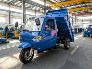 Triciclo Diesel per Carichi Pesanti con Accensione Elettrica per Trasporto Merci su Strade Difficili - Prezzo di Fabbrica - Product Image 4