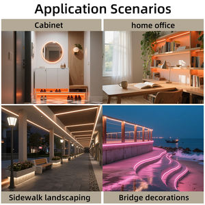 OEM ODM 1010 1212 1616 SPI Digitaler <span class=keywords><strong>LED</strong></span>-Neonstreifen, Smarter <span class=keywords><strong>RGB</strong></span> Vollfarb-Effekt, 24V IP67 Wasserdichte Silikon-Neon-Flex-Leuchte - Product Image 3