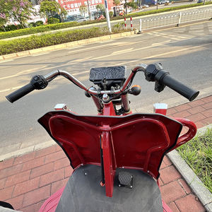 Kit de <span class=keywords><strong>moto</strong></span> électrique à trois <span class=keywords><strong>roues</strong></span> robuste personnalisé 60V 1000W 1500W pour adultes sans <span class=keywords><strong>permis</strong></span>, pour le transport de marchandises et le camping - Product Image 6