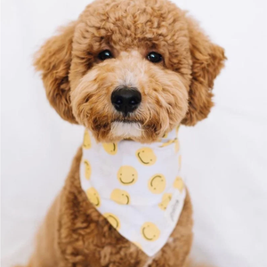 מוצר חיית מחמד מתכווננת בנדנות DY Bandanas כלבים כלבים מגזע מטפחת bib - Product Image 6