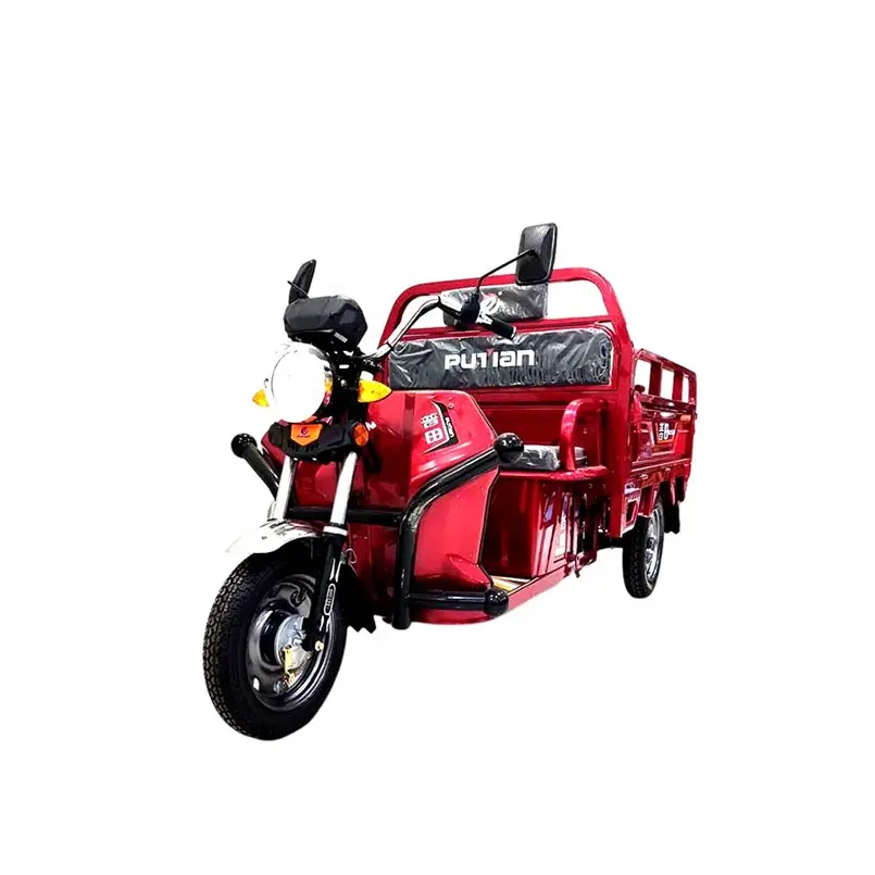 The New Listing Trex 3 Wheel Threewheel Tricycle Pedal Pedicab Delivery Box Bike Three Adult Price Electric Motorcycle