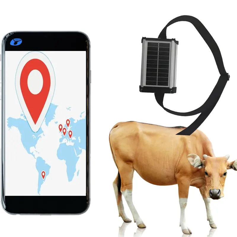 Chip de seguimiento gps para vacas cattle pelacak gps dengan satu tahun baterai surya dengan android ios app menemukan navigasi gps