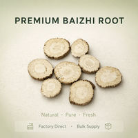 Tranches de racine de Baizhi séchées, Angelica Dahurica naturelle, pour soupes, braisage, cuisson, transformation alimentaire