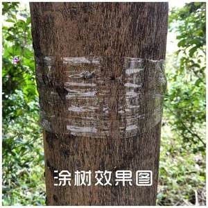 Pegamento de banda de árbol adhesivo de fusión en caliente Trampas para insectos ESTADO DE Gel de prevención de daños efectivo para <span class=keywords><strong>control</strong></span> de plagas de hormigas voladoras - Product Image 3