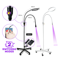 Lampe UV portable pour cils 5W 10W, lumière LED UV pour le séchage de la colle d'extension de cils, outil professionnel pour l'application des cils