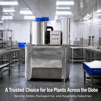 Machine à glace en flocons sur mesure 0,2T 0,3T 0,5T 1T en acier inoxydable, refroidie par air, pour abattoirs