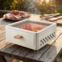 Barbecue au charbon de bois portable en fer moderne pour le camping et l'extérieur