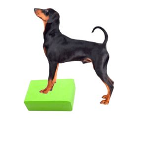 USMILEPET โรงงานผลิตโดยตรง แผ่นทรงตัวสำหรับฝึกสุนัข ปรับน้ำหนักได้ วัสดุ EVA และ PC เสริมสร้างความแข็งแรงและความทนทาน - Product Image 1