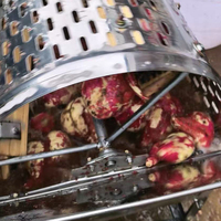 Machine à éplucher les pommes de terre automatique, machine à râper les pommes de terre, les carottes, le manioc, machine à laver et à éplucher