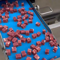Machine à découper la viande fraîche, coupeur de cubes de volaille et de poisson pour la transformation du poulet et les usines de plats préparés