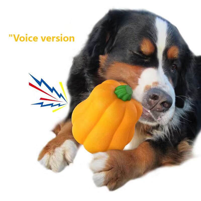 เคี้ยวของเล่นฟักทองส่งเสียง