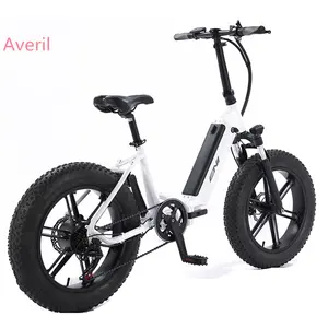 सस्ते कीमत लिथियम बैटरी इलेक्ट्रिक बाइक 48V 750w बिजली साइकिल पर्वत 20 इंच ई-बाइक तह साइकिल
