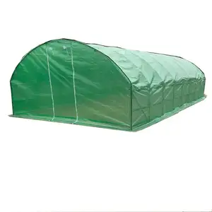 Walk in Tunnel Greenhouse Plant Grow Tents with 8 Windows & Doors (8X4meter)