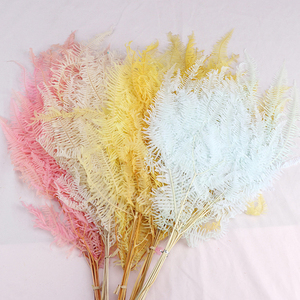 Fleurs séchées, pièces, plantes décoratives, vente en gros - Product Image 2