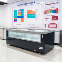 Congélateur commercial à îlot central 110V-130V avec porte vitrée, 2 portes, pour la présentation d'aliments surgelés en magasin de détail intérieur