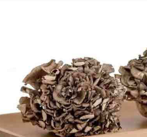 Thé aux champignons Maitake séchés entiers naturels, nourriture comestible, Grifola Frondosa, champignon sauvage pour la nourriture - Product Image 5