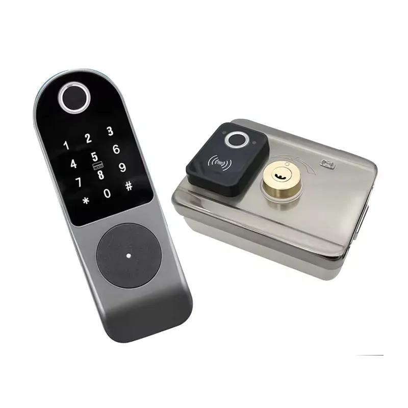 Cerradura inteligente biométrica para puerta de exterior, dispositivo de cierre inteligente con huella dactilar, WiFi, aplicación Tuya, NFC