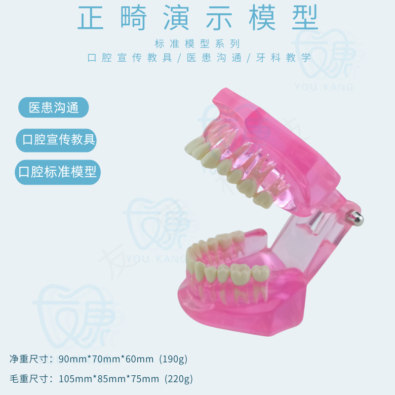 Normal orthodontic model pink