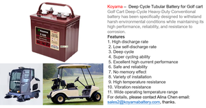 Torjan รถกอล์ฟน้ำท่วม<span class=keywords><strong>6V</strong></span>, <span class=keywords><strong>240Ah</strong></span> T125น้ำท่วมแบตเตอรี่ตะกั่วกรดแบบท่อสำหรับกวาด/เรือ/รถยก8V 12V - Product Image 5