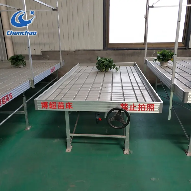 greenhouse single dental plastic seeding bed ebb flow rolling table/ bench with flood plastic tray/seeding